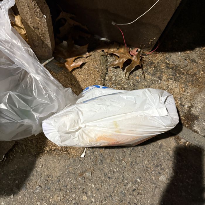  서천군.동네.쓰레기.플로깅