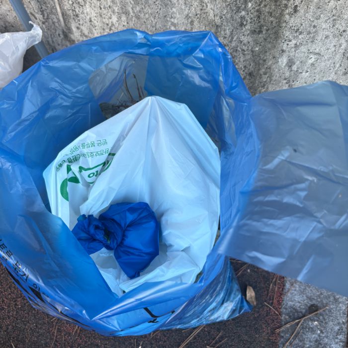  군산시.동네.쓰레기.플로깅